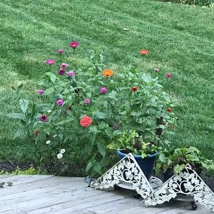 Meet your Posher, Maureen